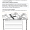 Worksheets for kids - writing-a-paragraph-your-birthday